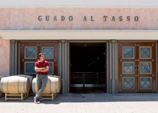 Guado al Tasso, winemaker from Tuscany